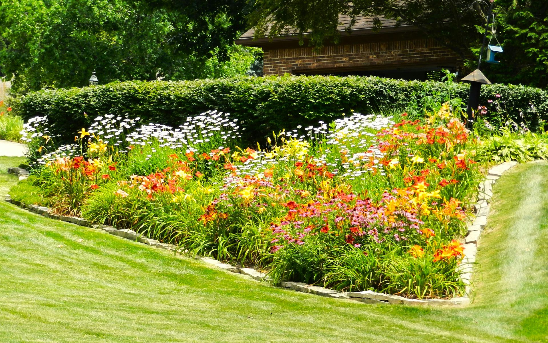 Vibrant flower garden with colorful blooms, green grass, and hedge.