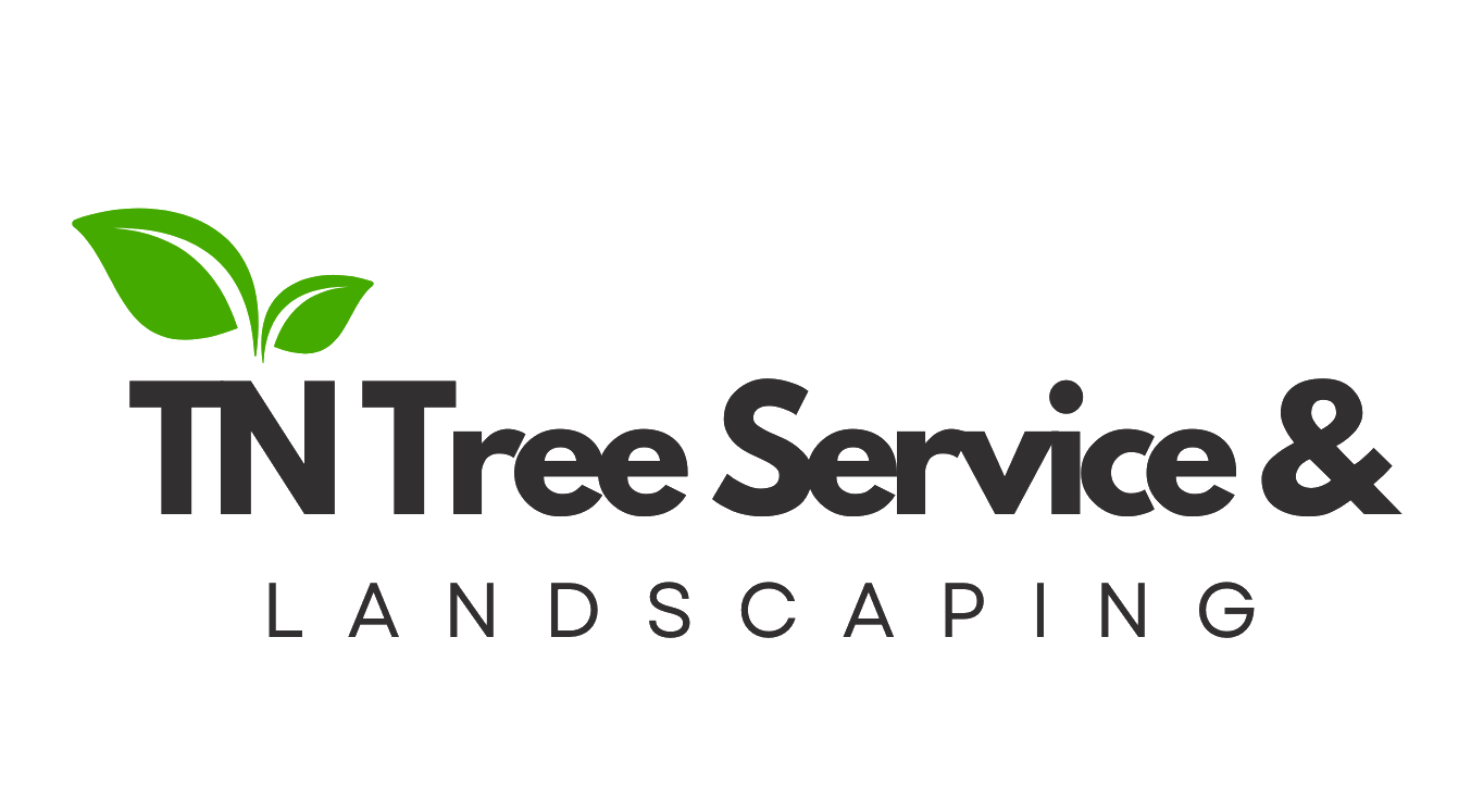 TN Tree Service & Landscaping logo